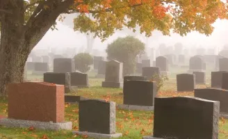 headstones under a tree